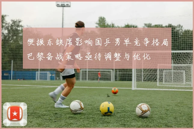 樊振东缺席影响国乒男单竞争格局巴黎备战策略亟待调整与优化
